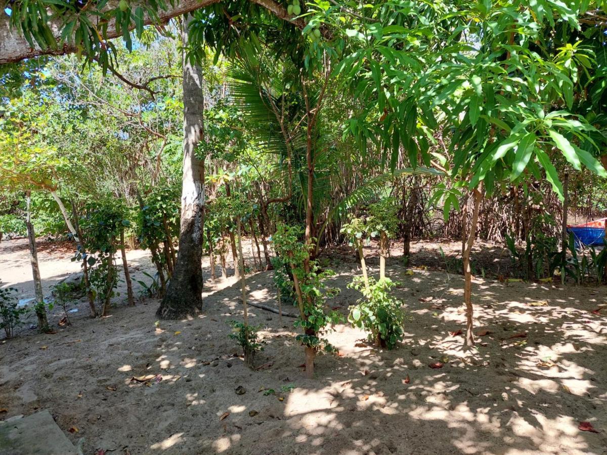 مبيت وإفطار بويرتو بلاتا Cabana Playa Cambiaso المظهر الخارجي الصورة